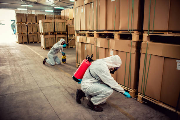 Best Rat Extermination Near Me  in Lakeland South, WA