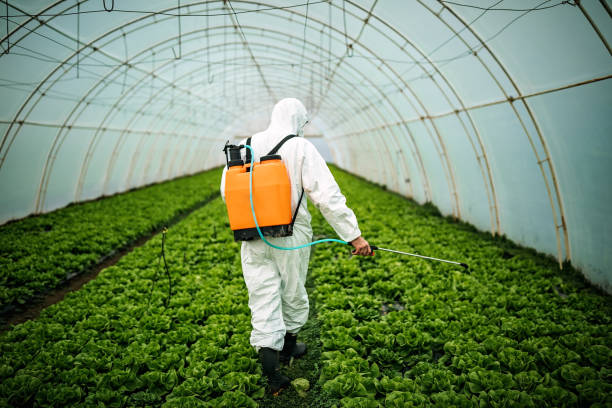 Best Pest Inspection Near Me  in Lakeland South, WA