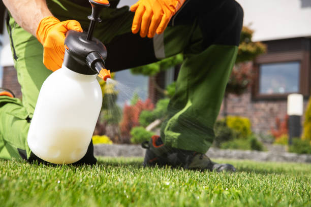 Best Flea Control Services  in Lakeland South, WA