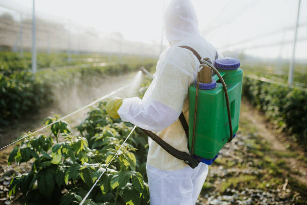 Best Wildlife Control Services  in Lakeland South, WA